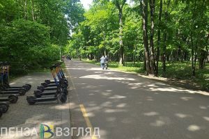 Олимпийскую аллею в Пензе закроют на время акарицидной обработки