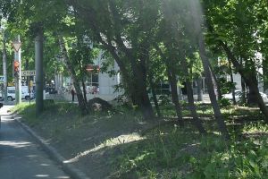 На Западной поляне в Пензе срежут большой песко-соляной «нарост»