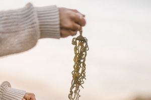 Пензенцев предупредили о ГМО в лапше быстрого приготовления