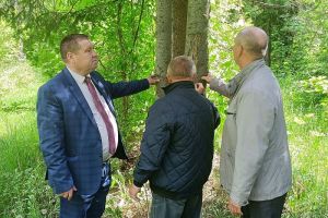 В Пензенской области восстановят «Дендрарий имени Г.Ф. Морозова»