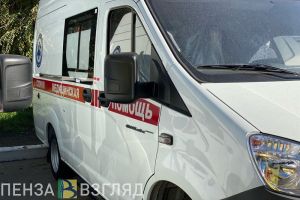 На улице Мира в Пензе под колеса автомобиля «ГАЗ» угодила пожилая женщина