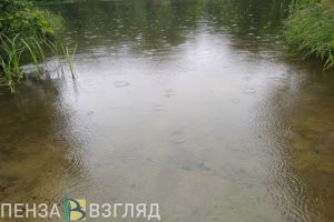 В Пензенской области в 2022 году на водоемах погибли 10 человек