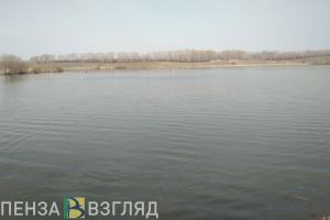 Двух рыбаков в Пензенской области осудили по уголовному делу