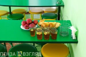 Пензенские дети-инвалиды получат бесплатное двухразовое питание в школах и на домашнем обучении