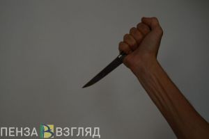 В Пензе расследуют дело о смерти женщины на улице Кулибина