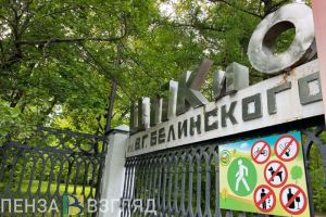 Пензенцев приглашают на мероприятия в парк Белинского: анонс на неделю (0+)