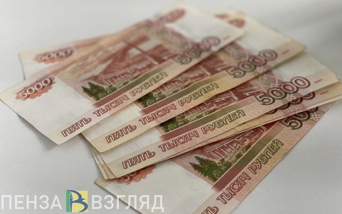 Пензенская область получила крупный грант из федерального бюджета