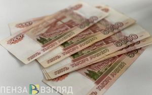Пензенская область получила крупный грант из федерального бюджета