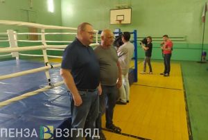 Губернатор распорядился отремонтировать крышу в спортшколе в Русском Камешкире
