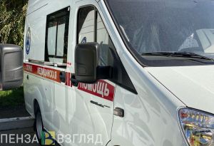 В Пензе на ул. Володарского легковушка врезалась в дерево: пострадали двое