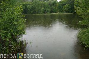 В воскресенье в Пензенской области синоптики прогнозируют грозу