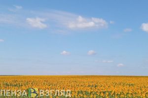 Пензенцам рассказали, как есть, пить и одеваться, чтобы выжить в 30-градусный зной