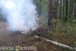 Пензенская область полностью готова к сезону лесных пожаров