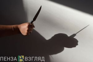 В Пензенской области пьяная женщина вонзила нож в мужчину за аморальное поведение