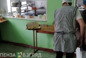 Пензенских школьников с ОВЗ обеспечат бесплатным питанием