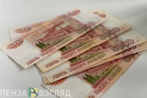 Снижены ставки по займам на поддержку развития пензенского бизнеса