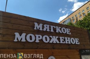 В воскресенье в Пензенской области ожидается 33-градусная жара