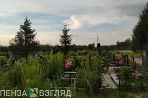 Названо число умерших в Пензенской области от рака и болезней системы кровообращения