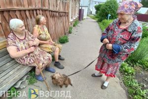 В ПФР напомнили о трех условиях для получения сельчанами дополнительной выплаты к пенсии