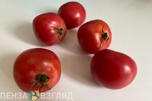 Раскрыт верный способ ускорить созревание томатов