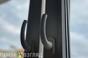 В Пензе мужчина выстрелил из окна своего дома в собаку