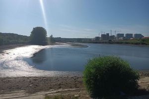 В Пензе спустили воду для расчистки пруда около городской больницы имени Захарьина