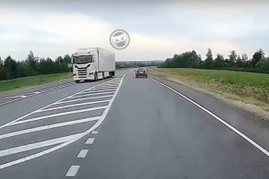 ДТП с косулей в Пензенской области попало на видео