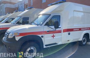 В соседнем с Пензенской областью регионе 15 человек погибли в ДТП