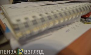 Обнародованы 4 секрета выращивания капусты в августе