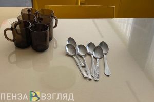 В Пензенской области питание для школьников организуют по новому стандарту