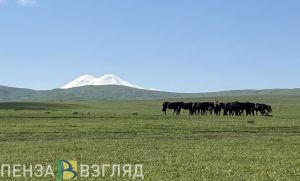 Тельцам – на море, Львам – в горы, Водолеям – на работу. Каким знакам Зодиака рекомендуют отдохнуть до конца лета?