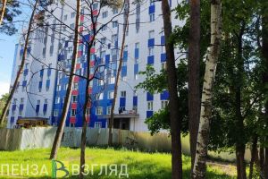 Продлено действие госпрограммы «Обеспечение жильем и коммунальными услугами населения Пензенской области»