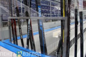 В Пензе рассказали о строительстве Ледовой арены и Дворца игровых видов спорта