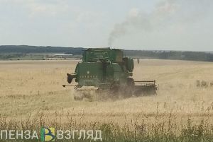 Пензенская область занимает первое место в ПФО по урожайности зерновых и зернобобовых