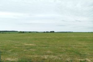 В Пензенской области вернут в структуру пахотных земель еще почти 12 тысяч гектаров