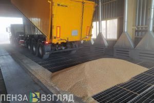 Рекордный урожай. В Пензенской области собрали 3 миллиона тонн зерна