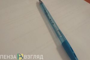 В день рождения Куприна в Пензе откроется выставка, посвященная его жене (6+)