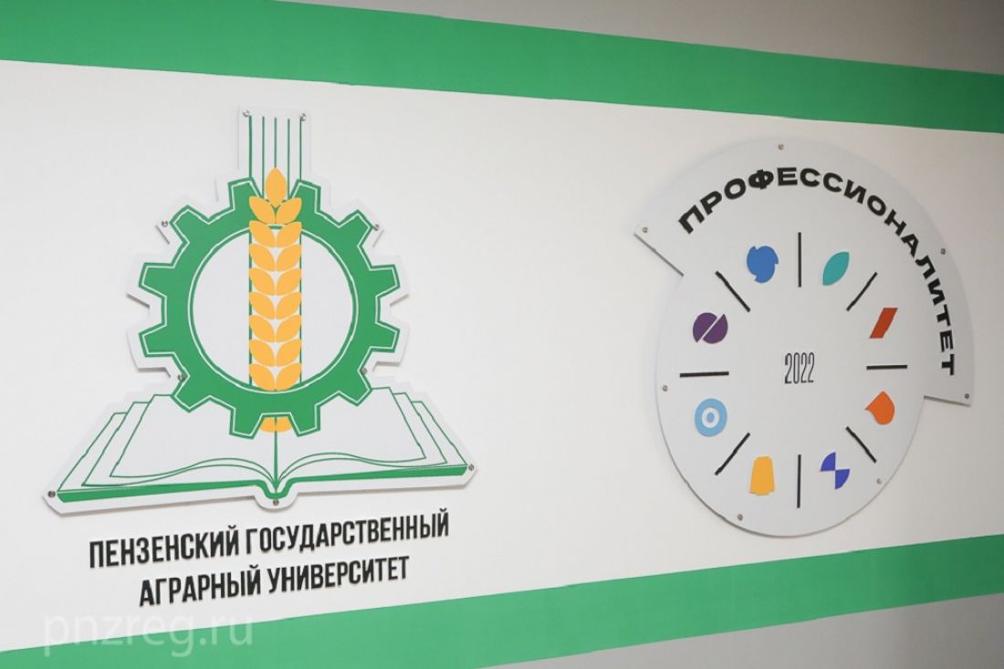 Определен порядок предоставления субсидий участникам федерального образовательного проекта в Пензенской области
