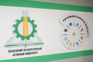 Определен порядок предоставления субсидий участникам федерального образовательного проекта в Пензенской области