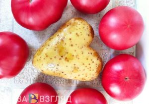 Взаимную любовь этой осенью встретят три знака Зодиака