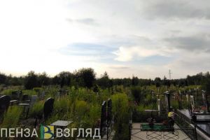 В Пензе за спил деревьев на кладбищах подрядчику готовы заплатить 1,6 млн рублей