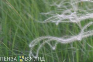 Три знака Зодиака, которые узнают свое истинное предназначение