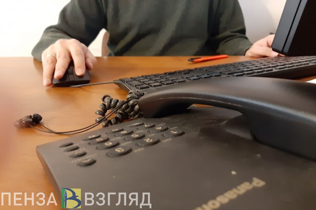 На 100 человек в организациях Пензенской области приходится 54 компьютера