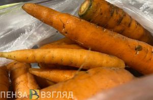 Топ-10 вопросов, волнующие каждого огородника