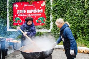 В пензенских парках прошел фестиваль «День варенья» (0+)