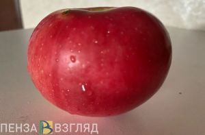 Благодаря этому способу плодовые деревья порадуют на следующий год