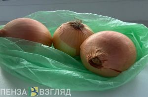 «Весной стрелок не будет»: назван самый подходящий сезон для посадки лука