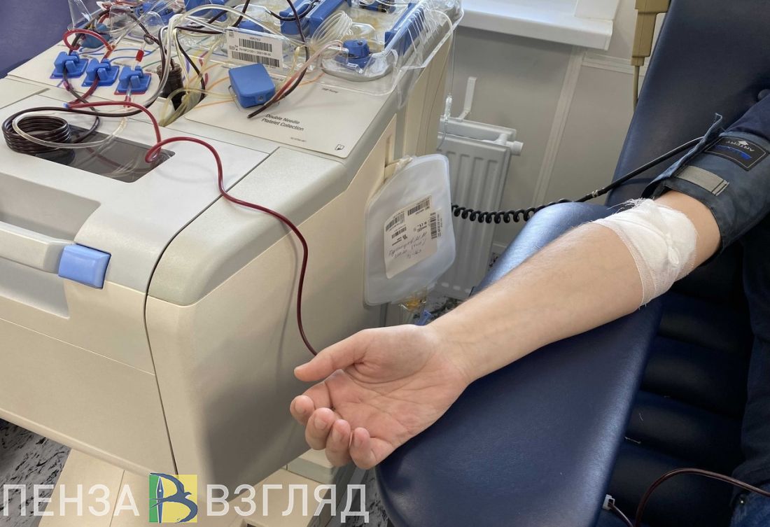 Донорская акция, убийство незнакомца и повышенная пожароопасность - новости Пензы за 12 сентября