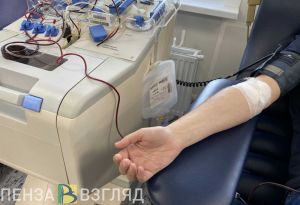 Донорская акция, убийство незнакомца и повышенная пожароопасность - новости Пензы за 12 сентября