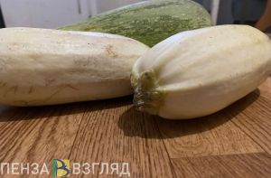 «В темноте и сухости»: как правильно хранить кабачки